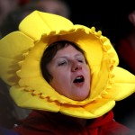 Wales Flower Fan 150x150 2011 Six Nations Opening Night   England Beat Wales
