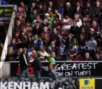 rugby fan