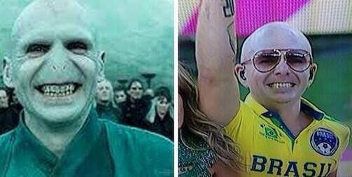 Pitbull or Voldemort