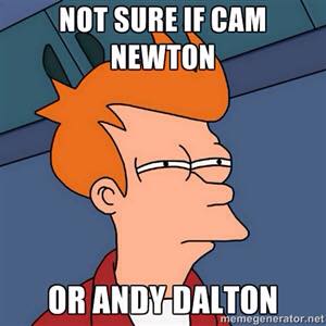 Cam Newton or Andy Dalton