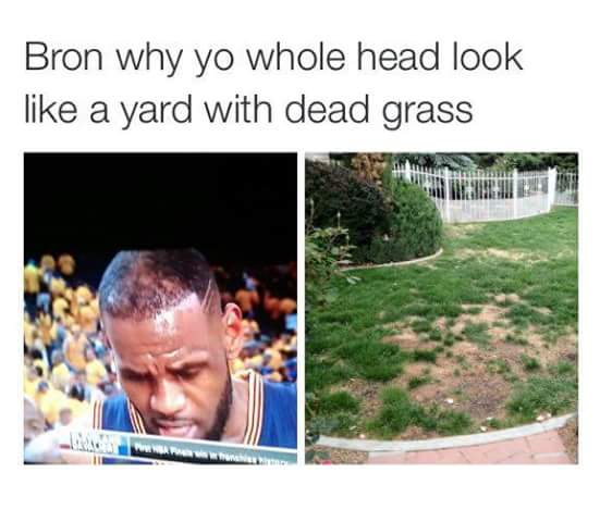 Dead grass yard
