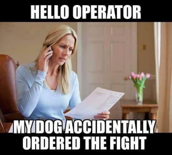 My dog ordered the fight