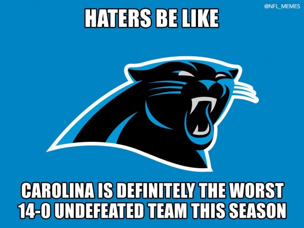 Panthers haters