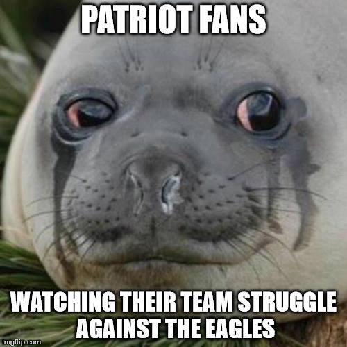 Sad Seal Patriots fans