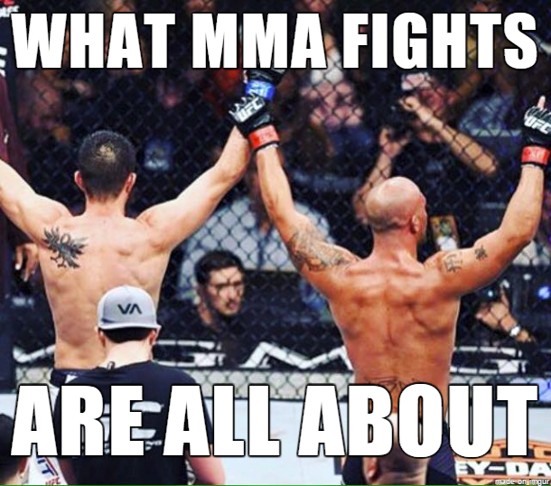 What MMA Fights Are All About
