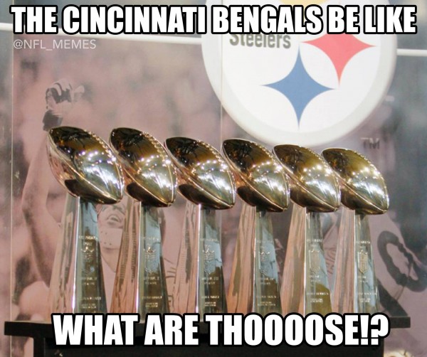 27 Best Memes of the Cincinnati Bengals Choking Against the Pittsburgh