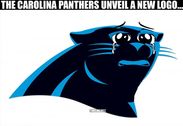 Sad Panthers Logo