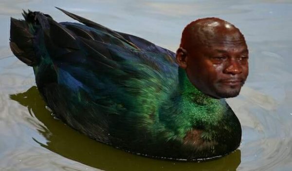 crying-duck