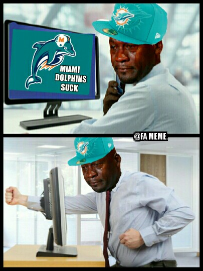 Dolphins Suck Meme