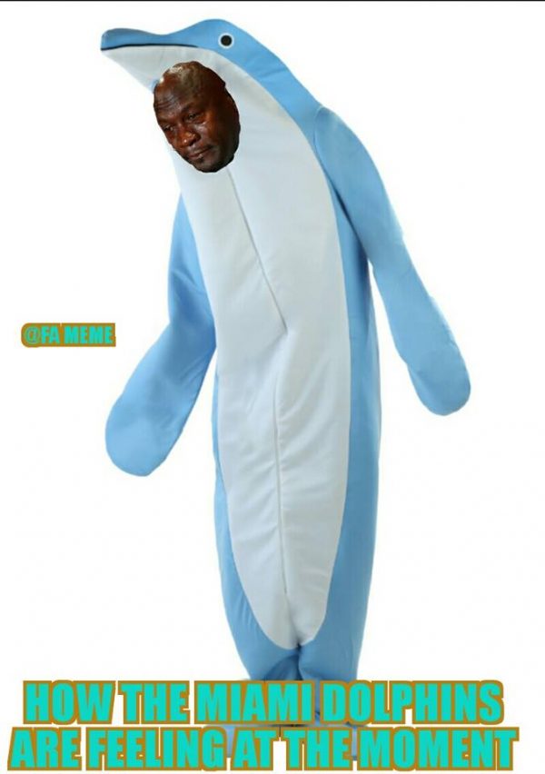 Dolphins Costume