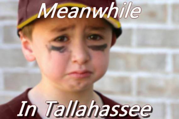 meanwhile-in-tallahassee