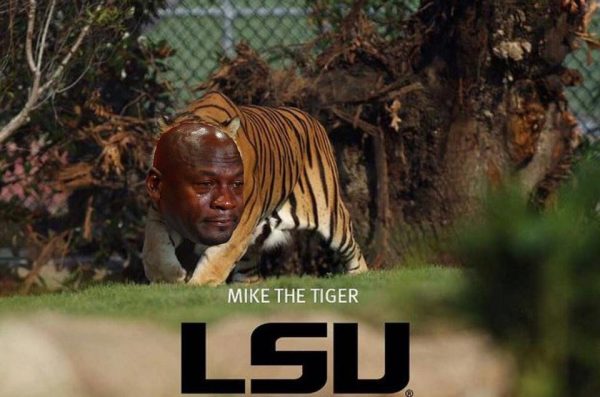 mike-the-tiger-crying-jordan