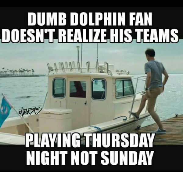 Stupid Dolphins