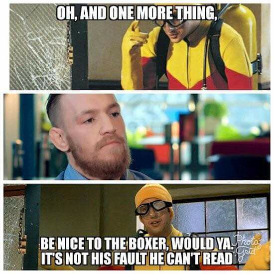 Be nice to the boxer