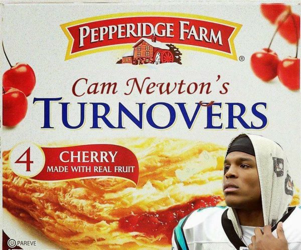Cam Newton's Turnovers