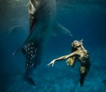 Whale Shark Model