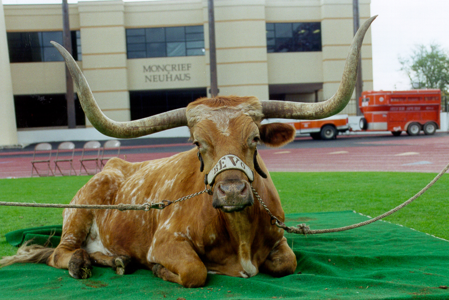 10 Most Famous Real Animal Mascots in College Football