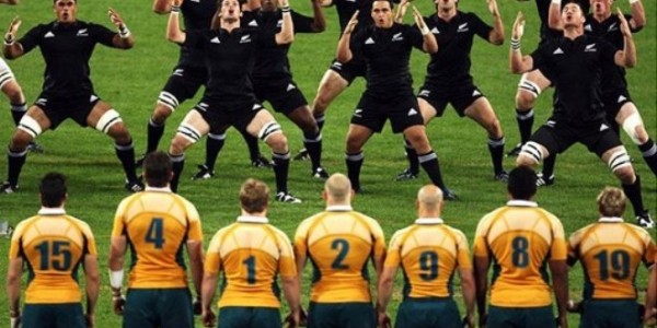 2013 Rugby Championship – Australia vs New Zealand Predictions