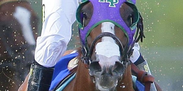 California Chrome & the Triple Crown – The Nasal Strip Complication