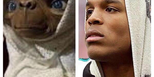 25 Best Memes of Cam Newton & the Carolina Panthers Destroyed by the Philadelphia Eagles