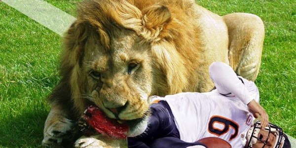 17 Best Memes of Jay Cutler & the Chicago Bears Destroyed by the Detroit Lions