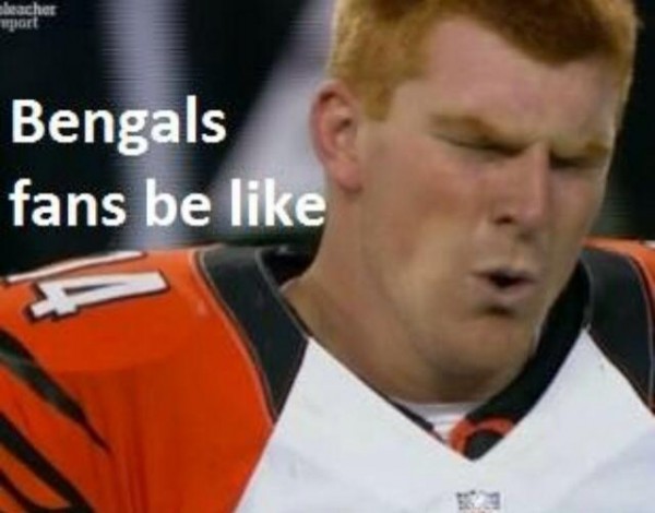 Bengals fans be like