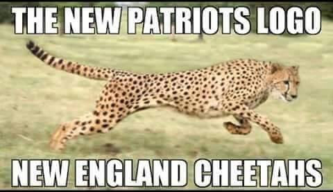 New England Cheetahs