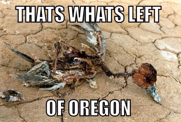 What's left of Oregon