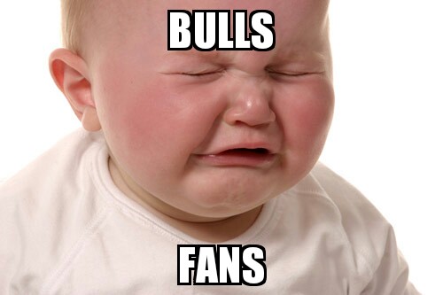 Bulls fans