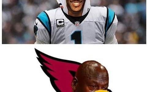 32 Best Memes of Cam Newton & the Carolina Panthers Wrecking Carson Palmer & the Arizona Cardinals