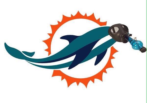Dolphins Mask Bong