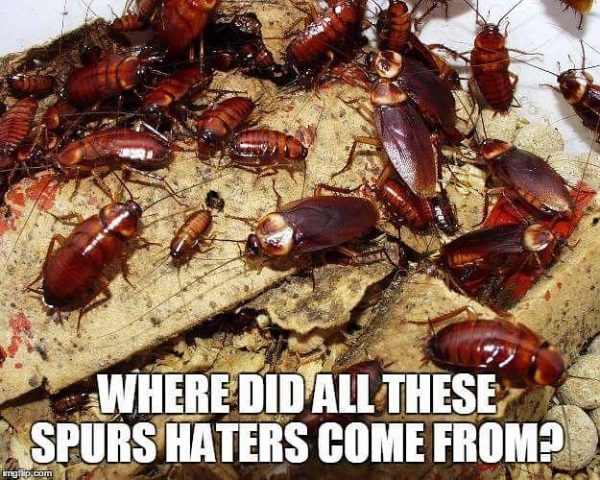 Spurs haters