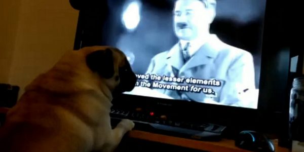 Turning Your Dog Into a Nazi Will Get You Arrested