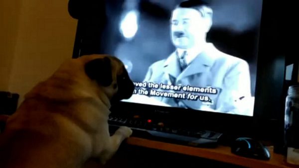 Nazi Dog