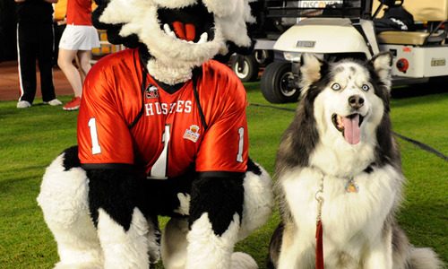 The Dogs of College Football
