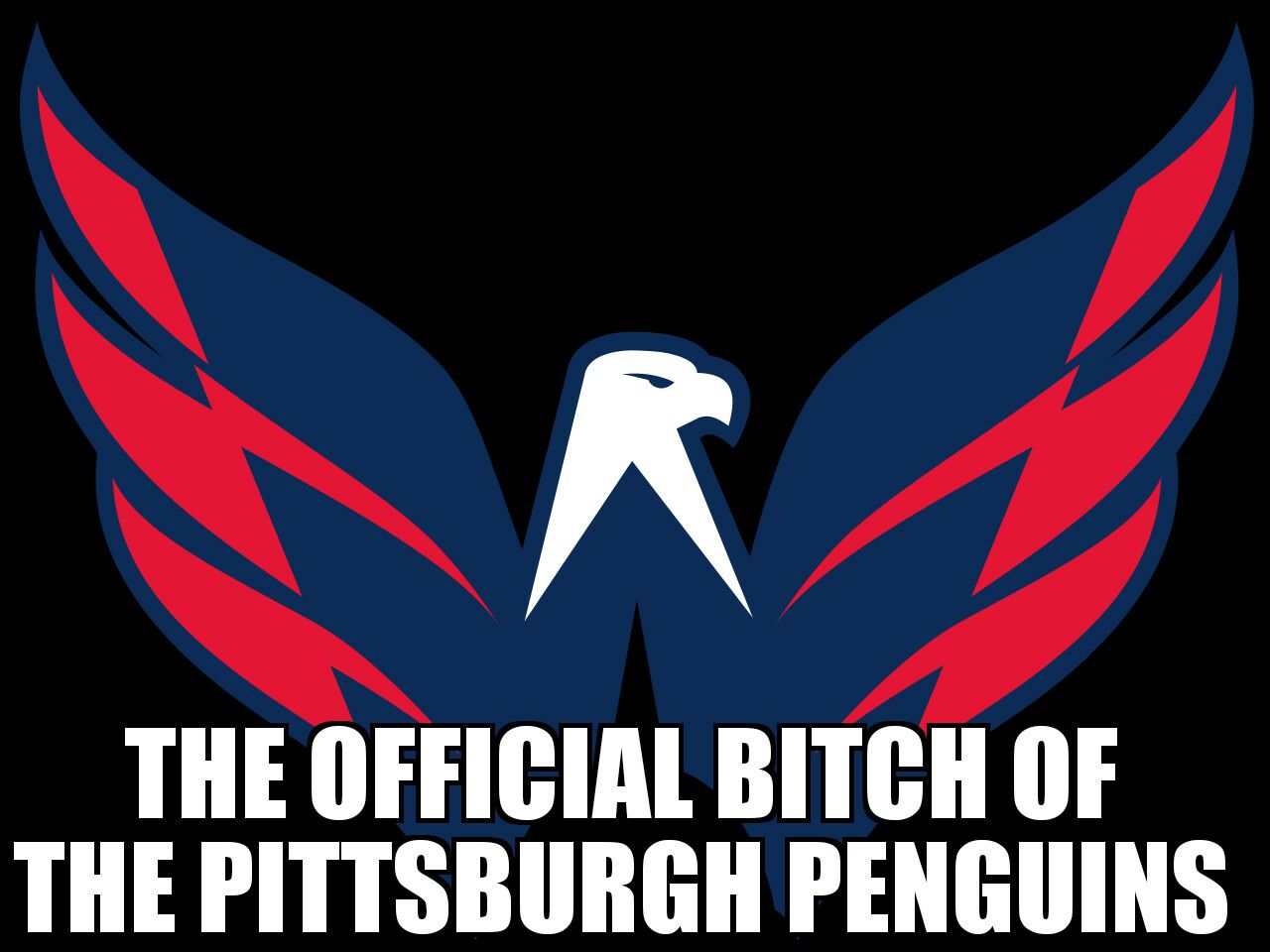 The official bitch of the Pittsburgh Penguins