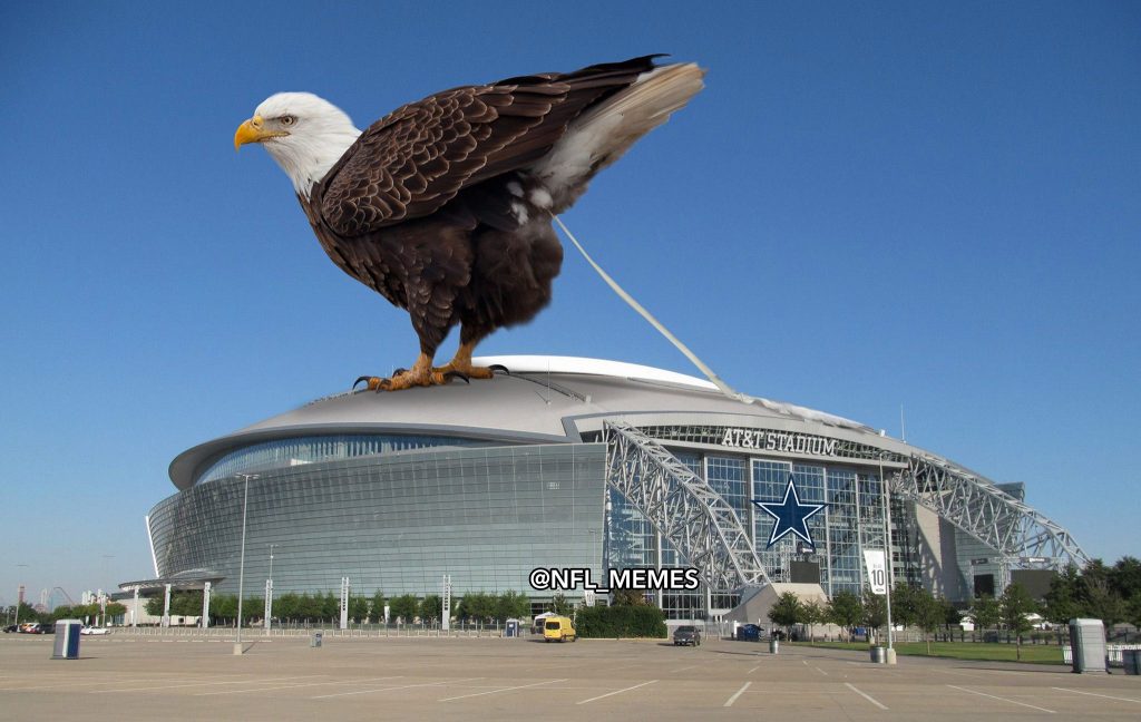 Eagles on a Stadium