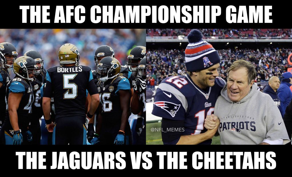 Jaguars vs Cheetahs