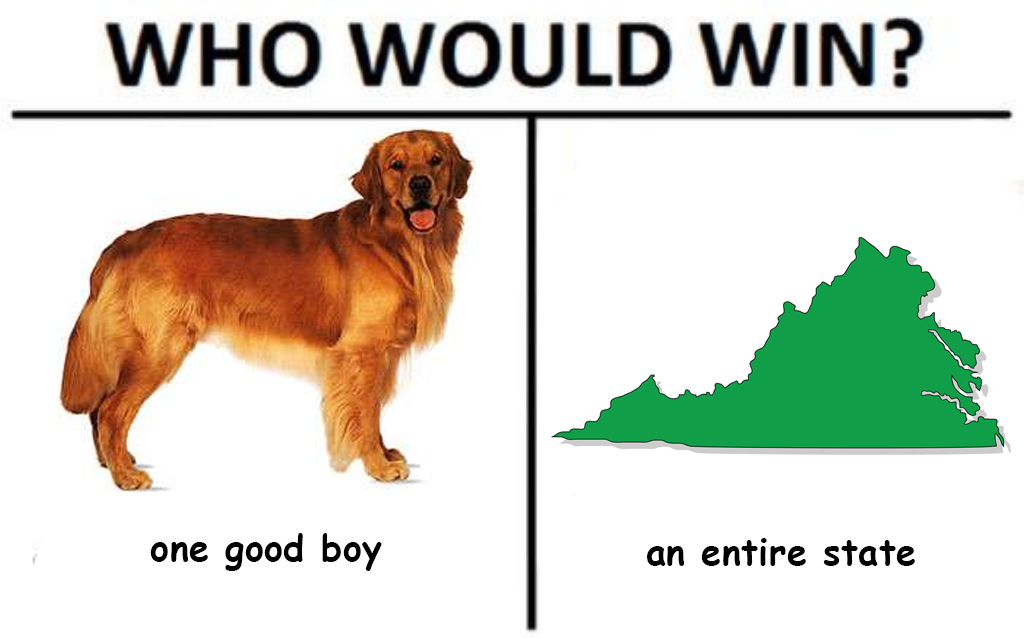 One Good Boy vs Virginia
