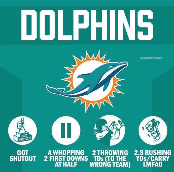 Dolphins stats
