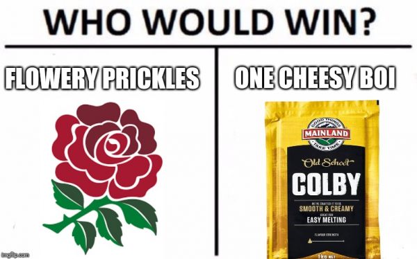 Who Would Win Rugby Meme