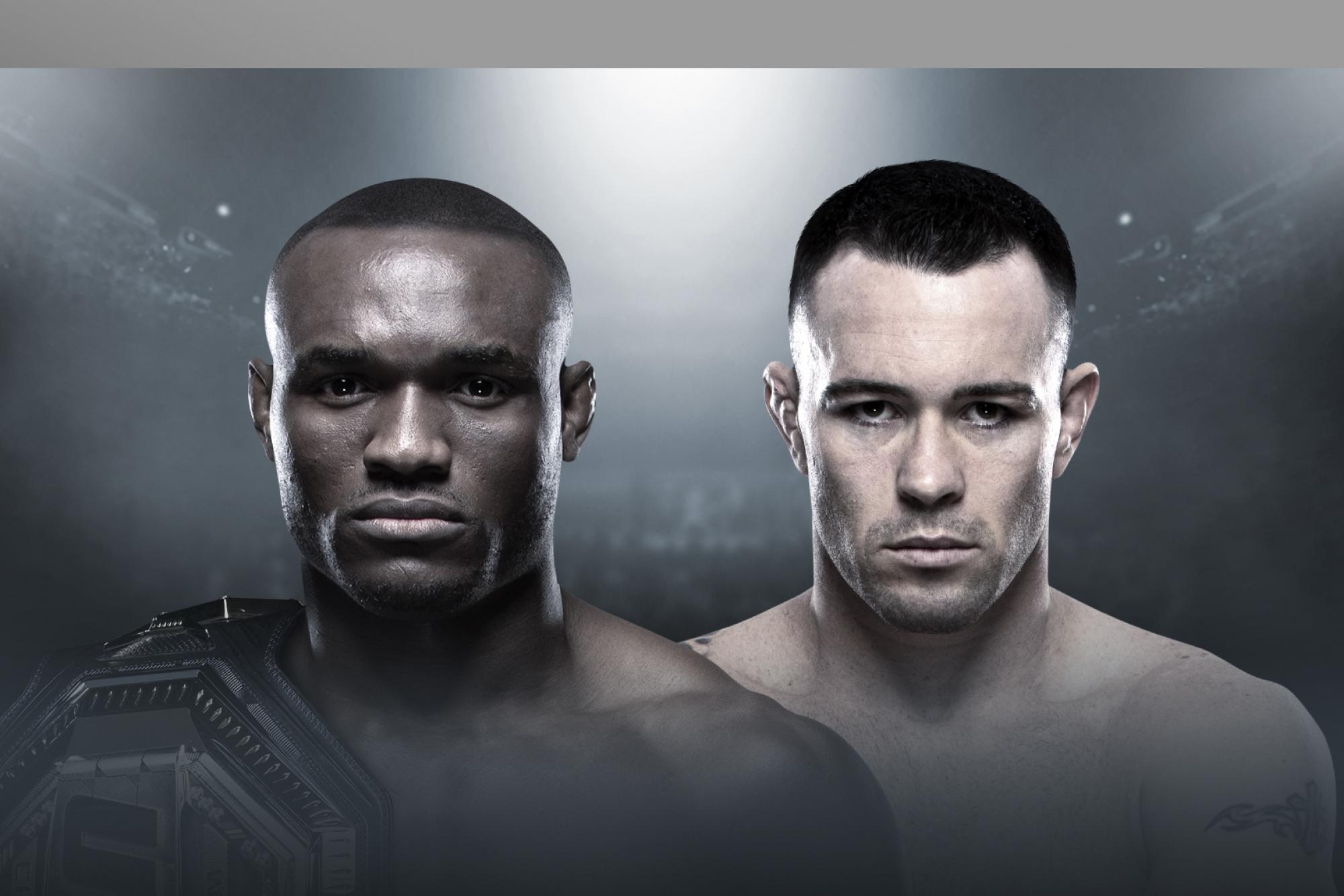 UFC 245: All You Need to Know